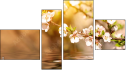 Fortych