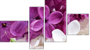 Fortych