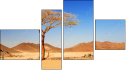 Fortych