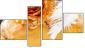 Fortych