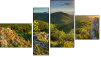 Fortych