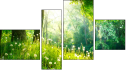 Fortych