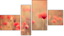 Fortych