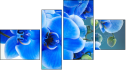 Fortych