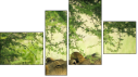 Fortych