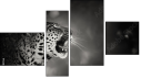 Fortych