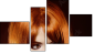 Fortych