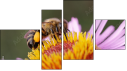 Fortych