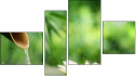 Fortych