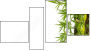 Fortych