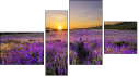 Fortych