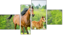 Fortych