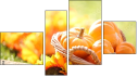 Fortych