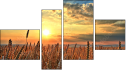 Fortych