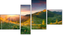Fortych