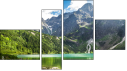 Fortych