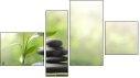 Fortych