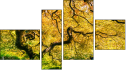 Fortych