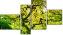 Fortych