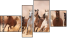 Fortych