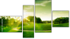 Fortych