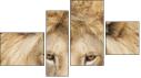 Fortych