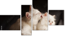 Fortych