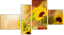 Fortych