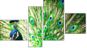 Fortych