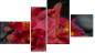 Fortych