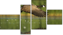Fortych