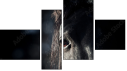 Fortych