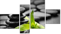 Fortych