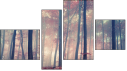 Fortych