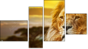 Fortych