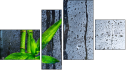 Fortych