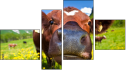 Fortych