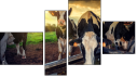 Fortych