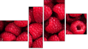 Fortych