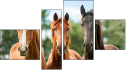Fortych
