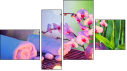 Fortych