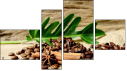 Fortych