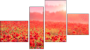 Fortych