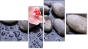 Fortych