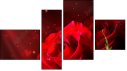 Fortych