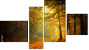 Fortych