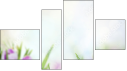 Fortych