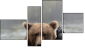 Fortych