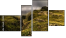 Fortych