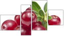 Fortych